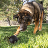 Extreme Ball mit Loch – Durchmesser: 8,89 cm