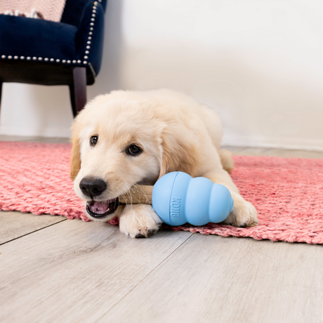 KONG Enhanced Ziggies Puppy Hundesnack