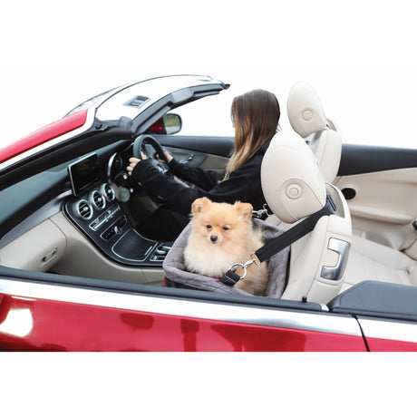 KONG Secure Booster Seat, Hunde Autositz