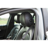 KONG Secure Booster Seat, Hunde Autositz