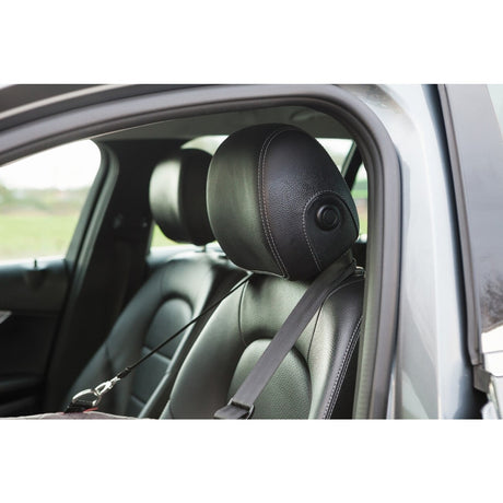 KONG Secure Booster Seat, Hunde Autositz