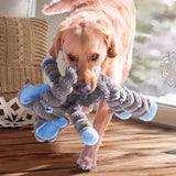 Shakers Crumples – Elephant