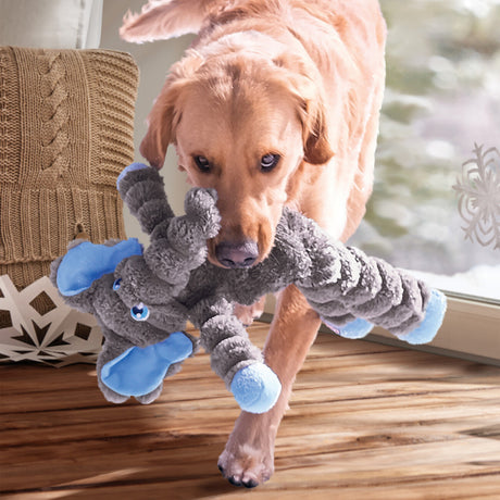 Shakers Crumples – Elephant