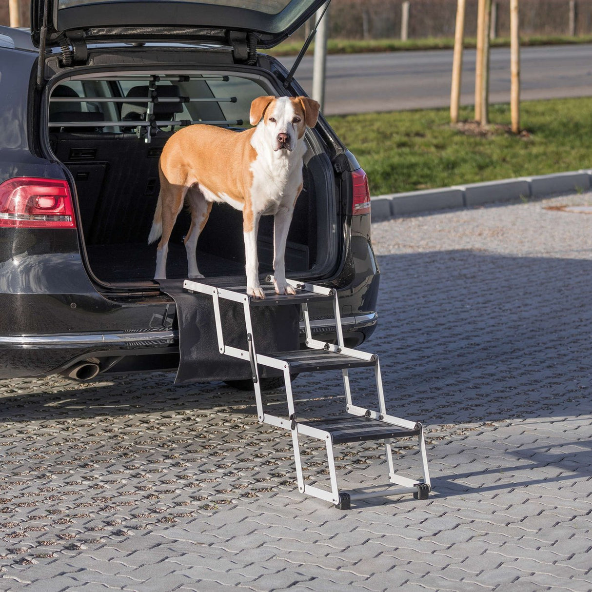 Hunderampe Falt-Treppe Petwalk