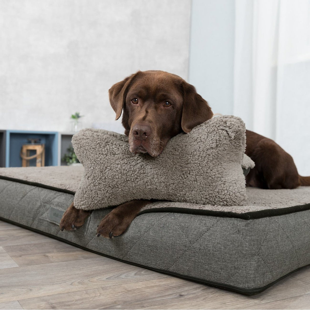 Hunde Kopfkissen Bendson