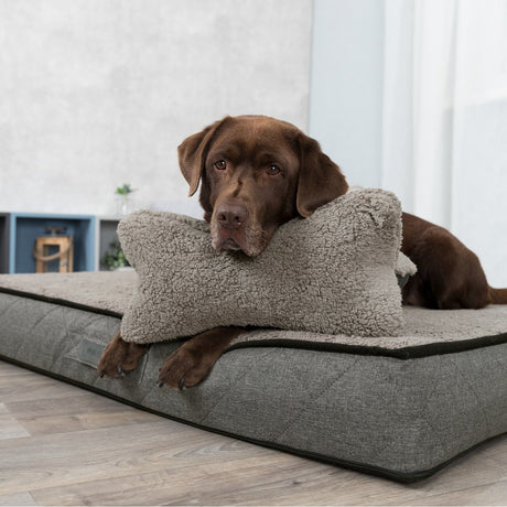 Hunde Kopfkissen Bendson
