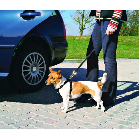 Hunde Sicherheitsgurt Sicherheitsgeschirr für das Auto