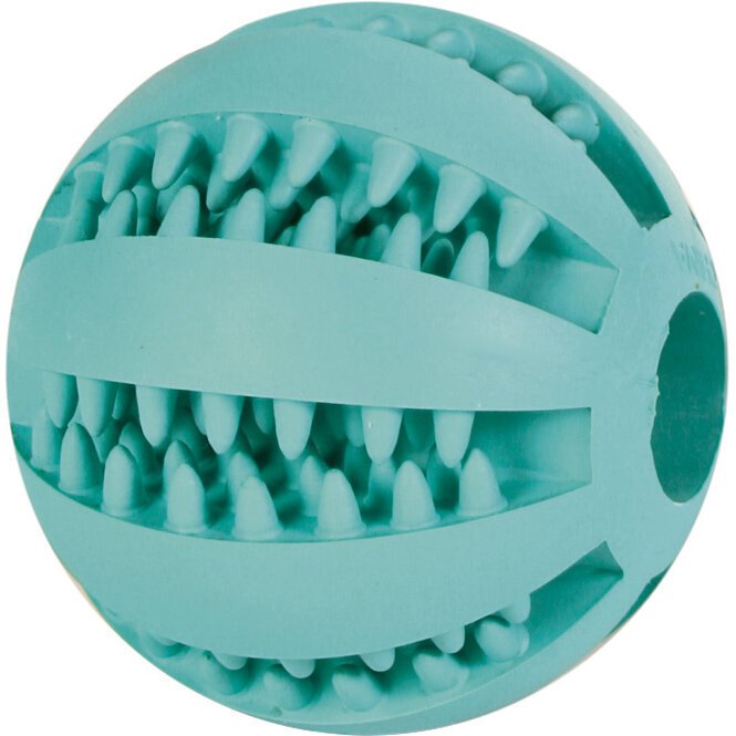 Denta Fun Hundeball massiert Zahnfleisch - ø 7 cm / mint