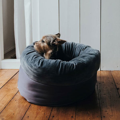 Hundebett und Katzenbett Miranda