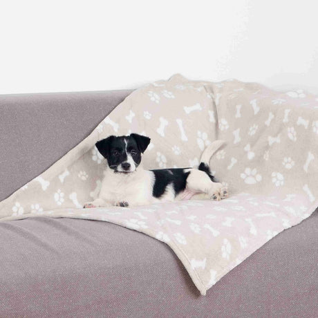 Hundedecke Kenny