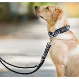 Hundehalsband Active Pro