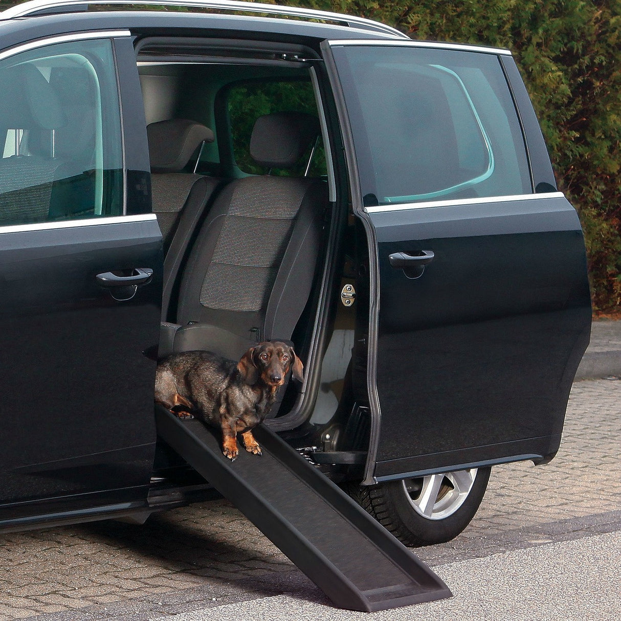 Hunderampe für kleine Hunde