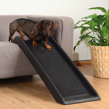 Hunderampe für kleine Hunde