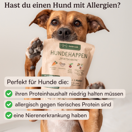 Vegane Hundehappen Probierpaket