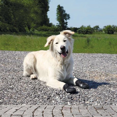Hundeschuhe Pfotenschutz Walker Active