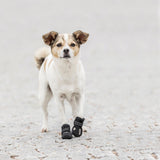 Hundeschuhe Pfotenschutz Walker Active