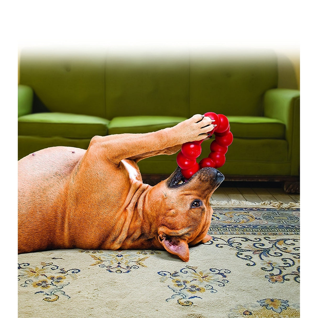 Hundespielzeug Ring