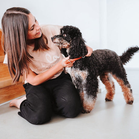 Dressurhalsung Round & Soft Canadian Up