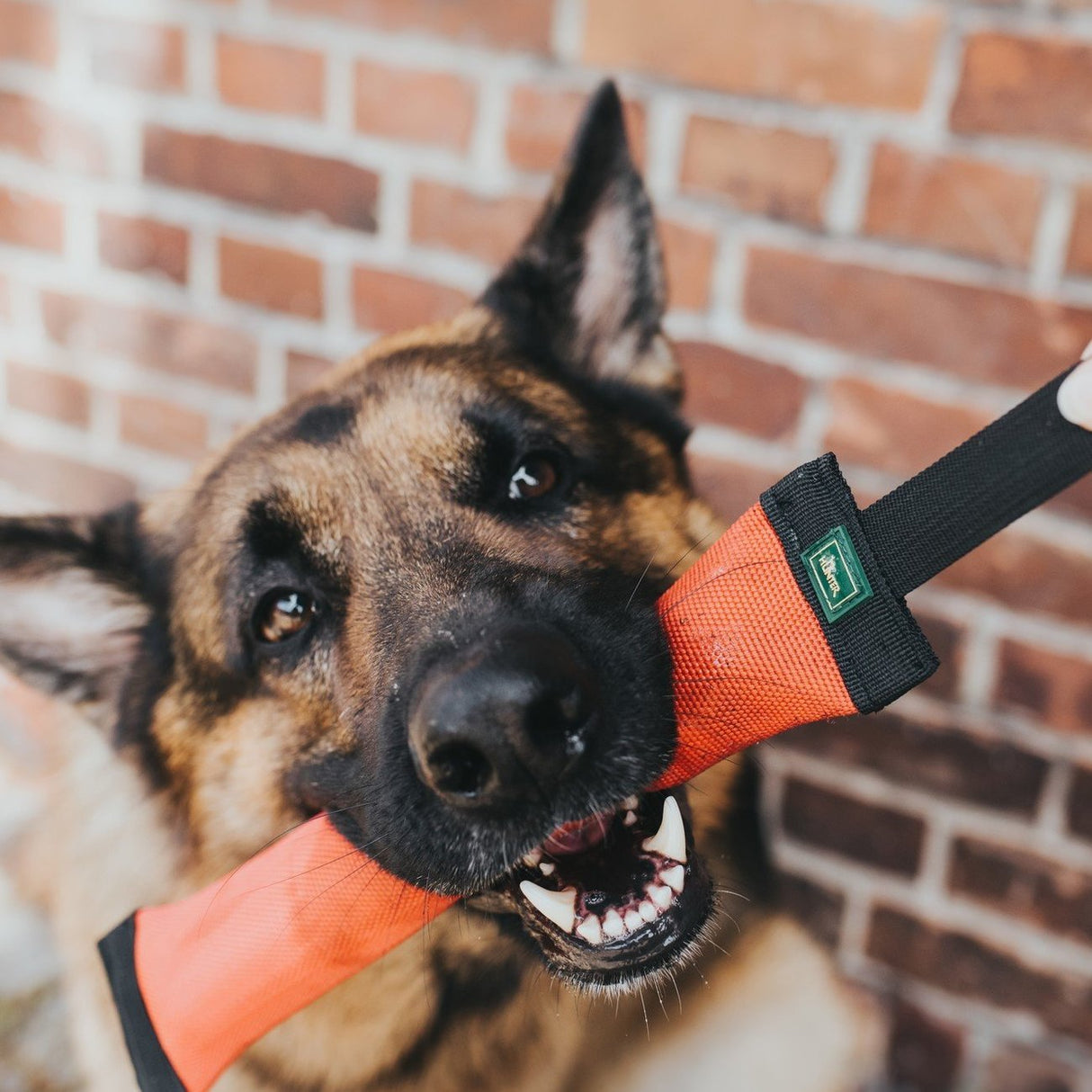 Dummy Trient für Hunde – 30 x 4 cm, rot