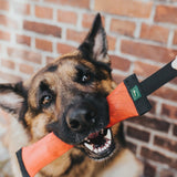 Dummy Trient für Hunde – 30 x 4 cm, rot