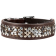 Halsband Arizona Up