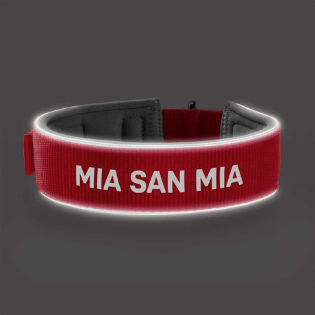 Halsband FC Bayern München