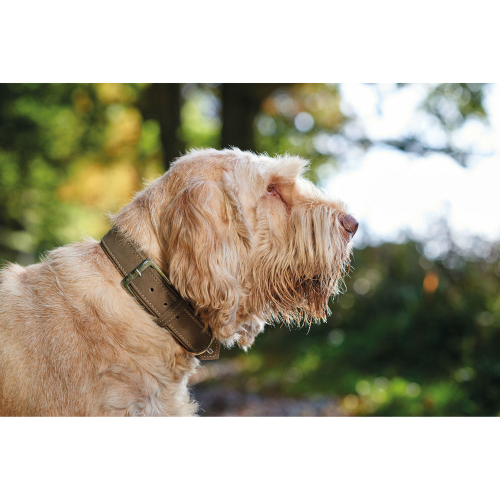 Hunter Halsband Hunting aus Leder