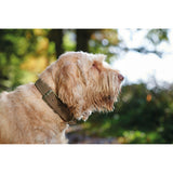Hunter Halsband Hunting aus Leder