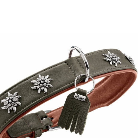 Halsband München für Hunde
