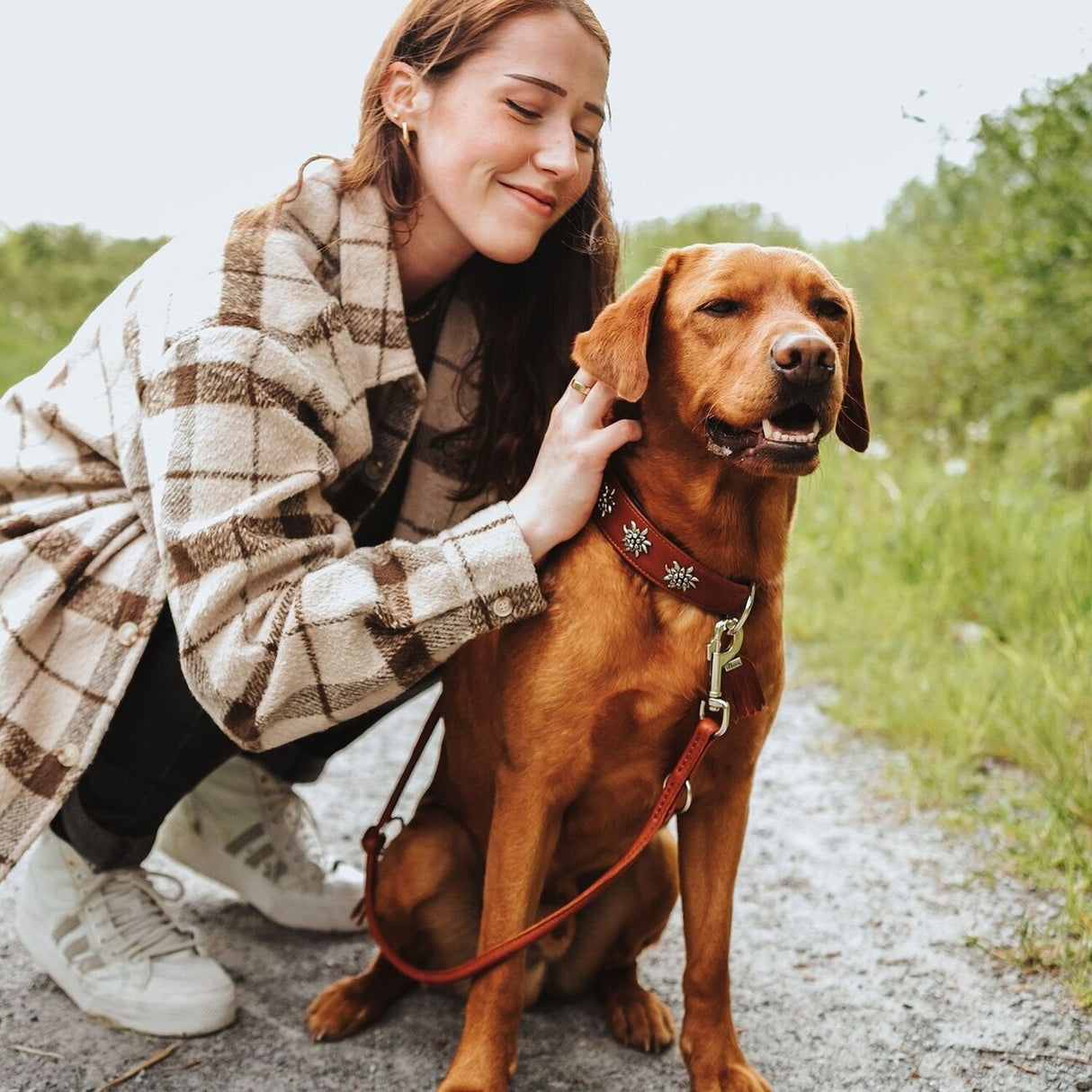 Halsband München für Hunde