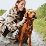 Halsband München für Hunde