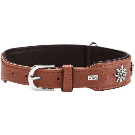 Halsband München für Hunde