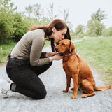 Halsband München für Hunde