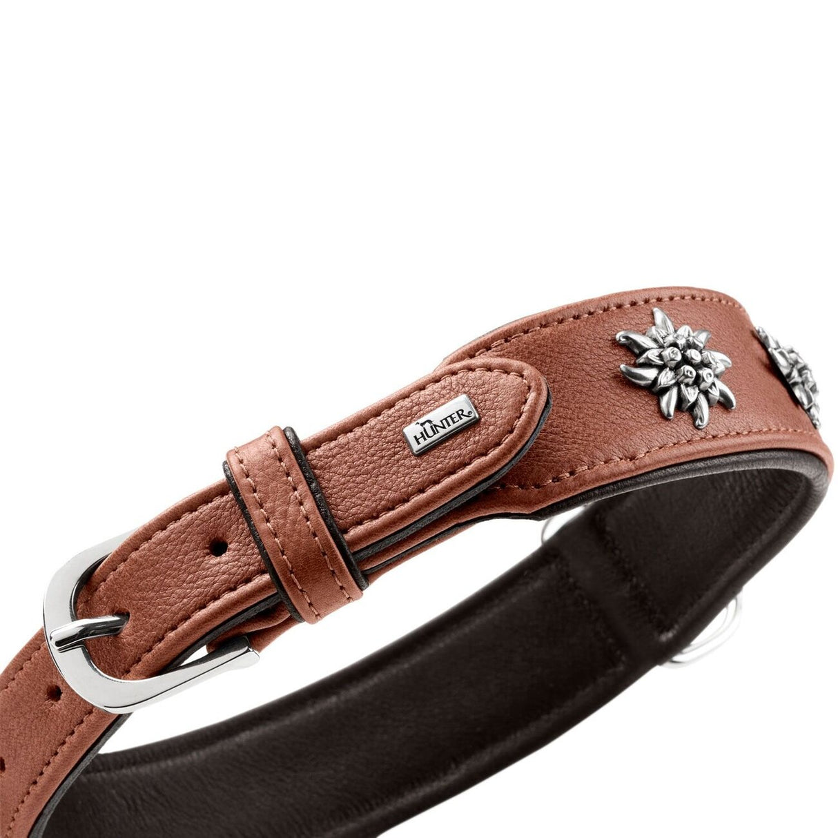 Halsband München für Hunde