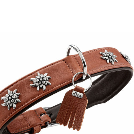Halsband München für Hunde