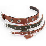 Halsband München für Hunde