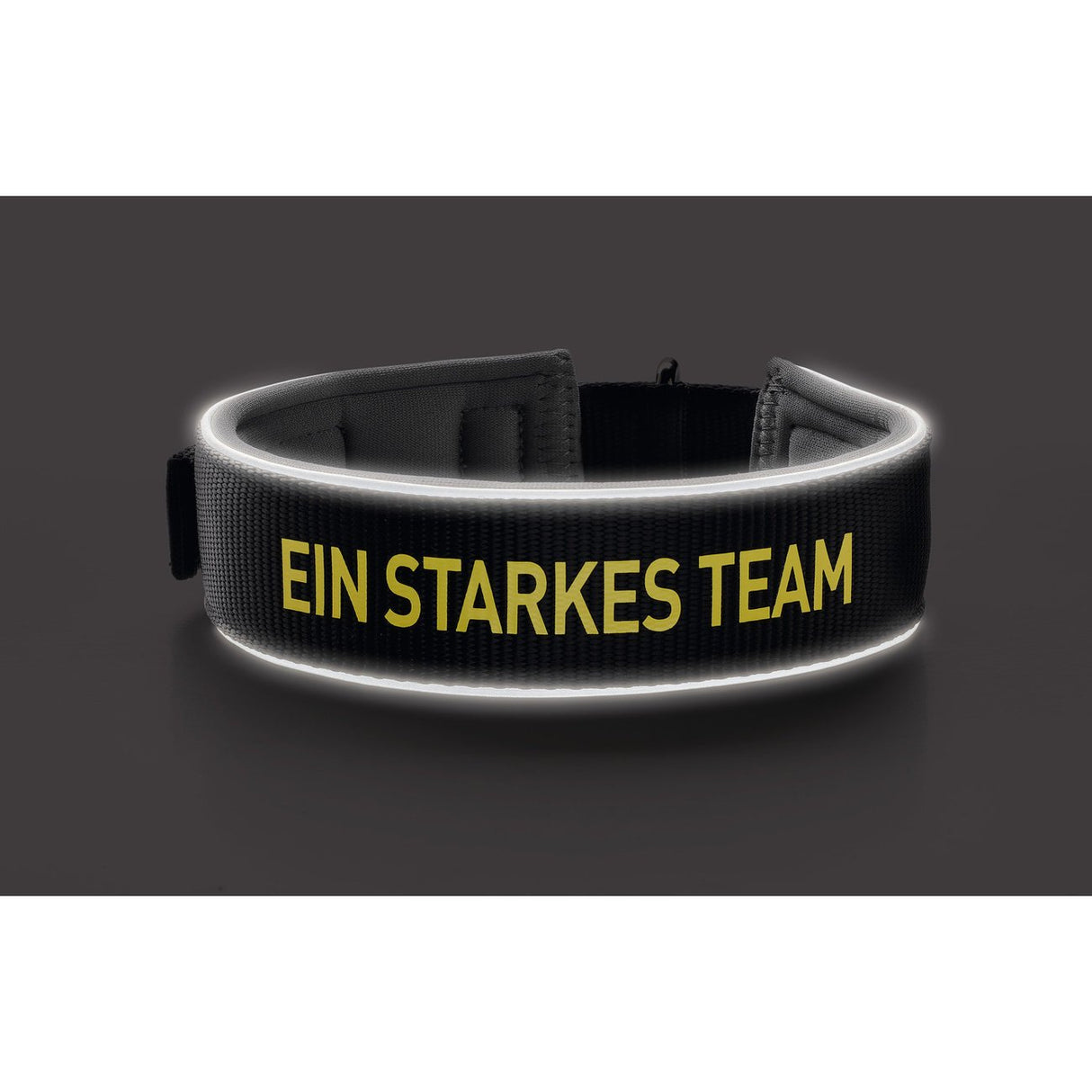 Halsband Neopren Reflect BVB
