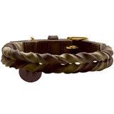 Halsband Solid Education Duo