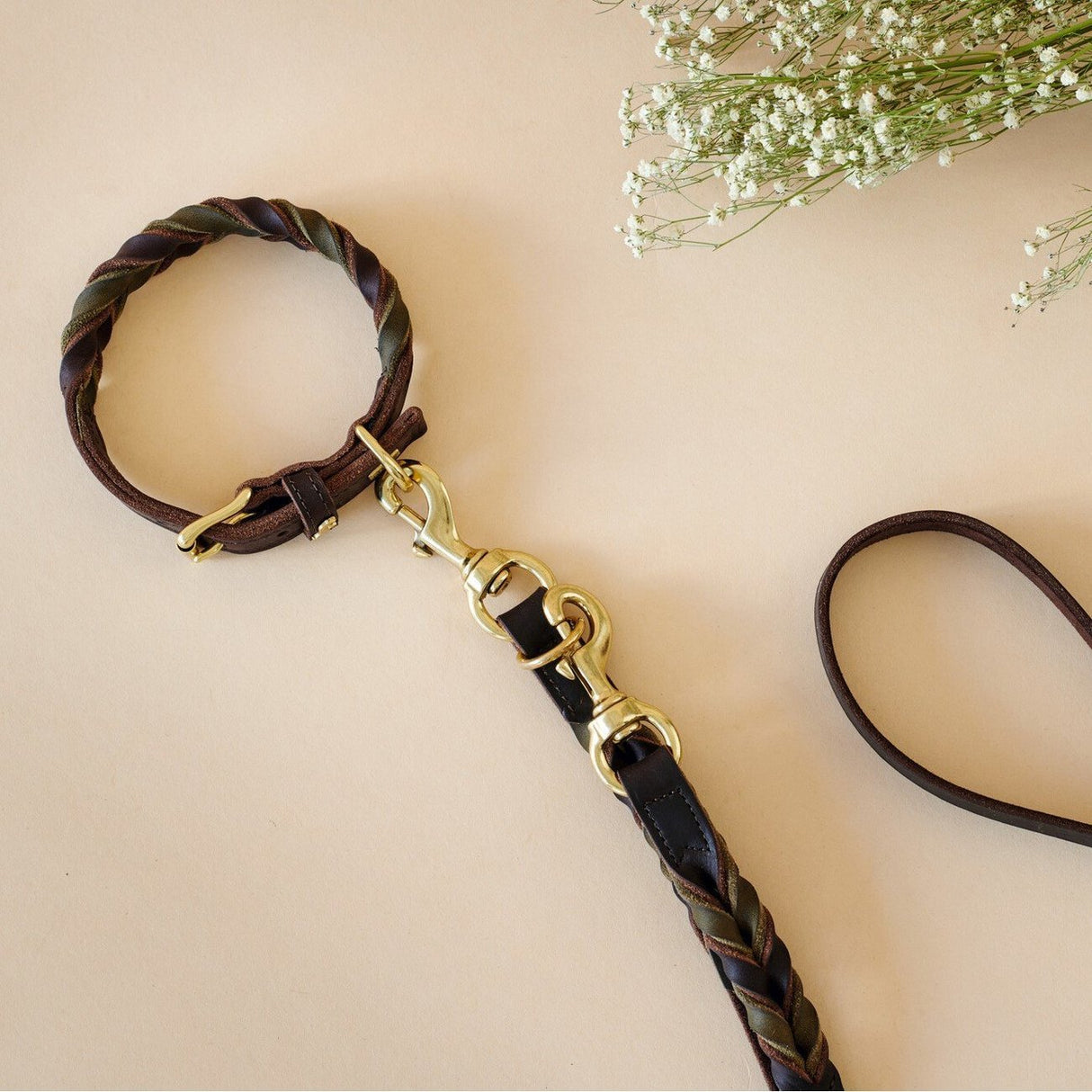 Halsband Solid Education Duo