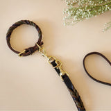 Halsband Solid Education Duo