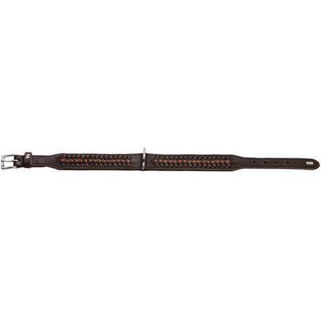 Hunter Halsband Solid Education Exclusive