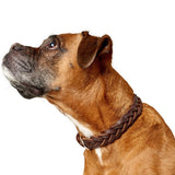 Hunter Halsband Solid Education Special