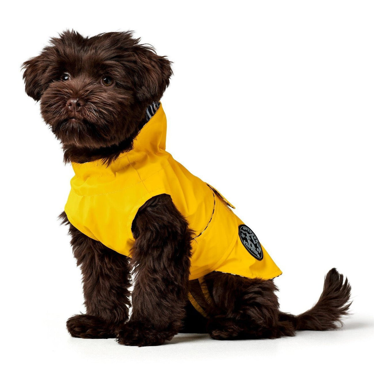 Hunde Regenmantel Milford