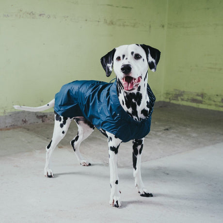 Hunde Regenmantel Milford