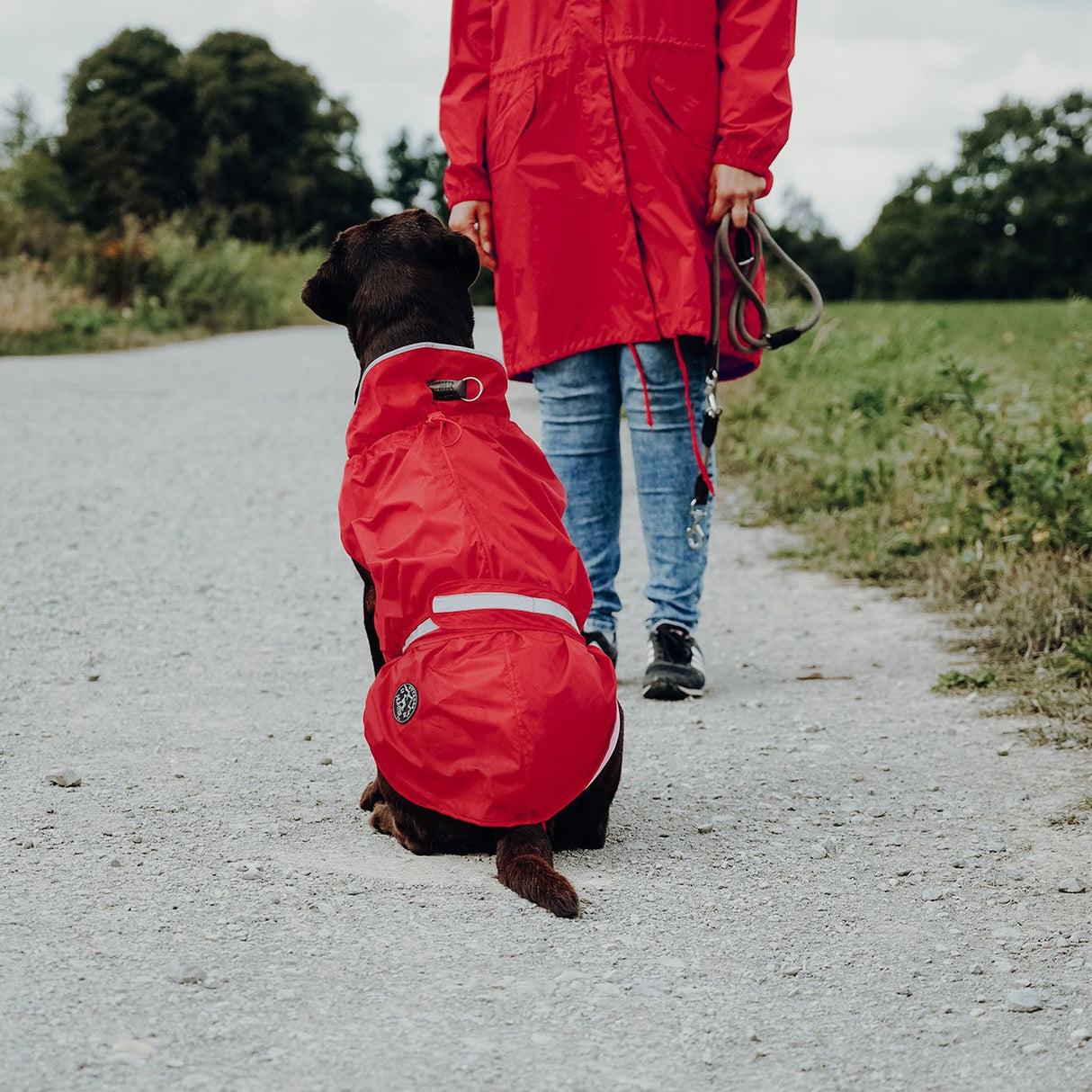 Hunter Hunde Regenmantel Uppsala Rain