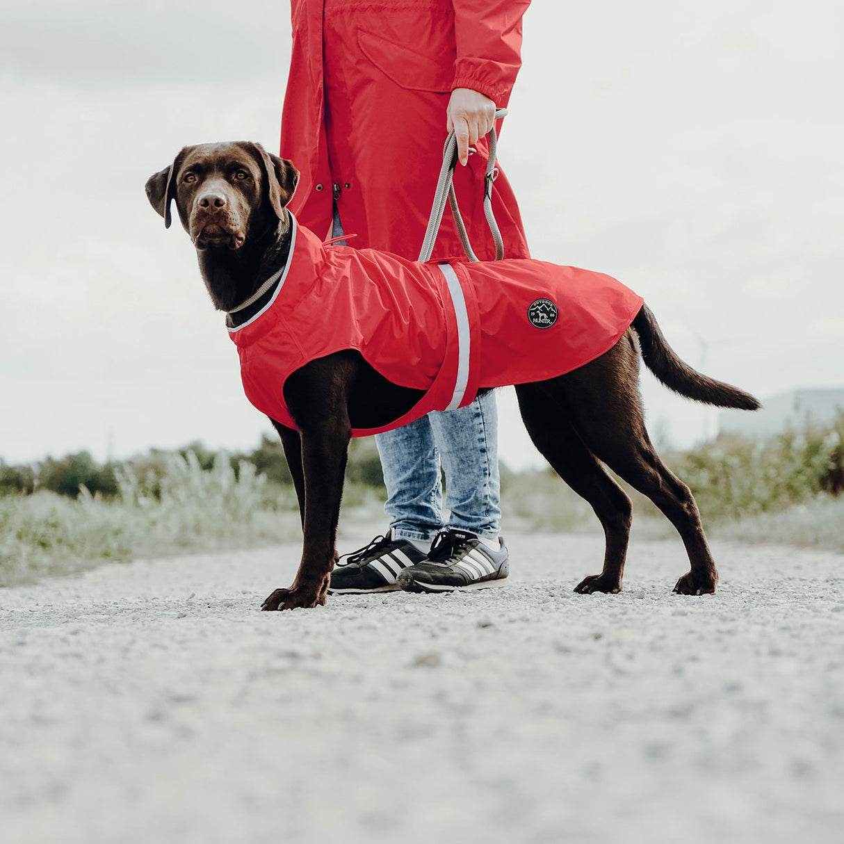 Hunter Hunde Regenmantel Uppsala Rain
