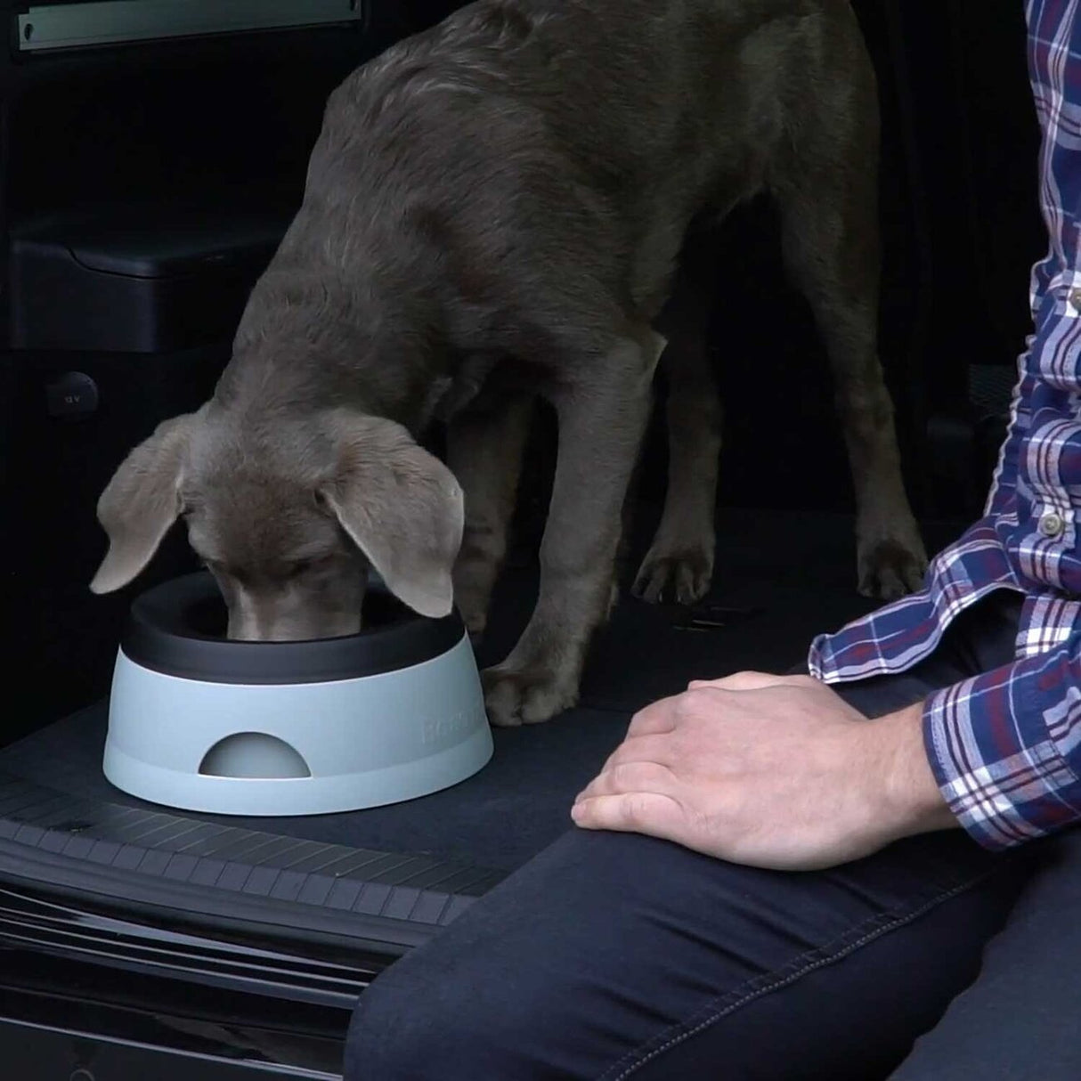 Hunde Reisenapf Road Refresher