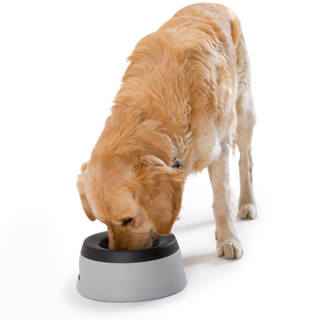 Hunde Reisenapf Road Refresher