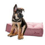 Hunter Hundebett Lancaster