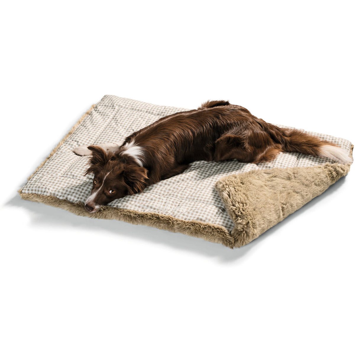 Hunter Hundedecke Astana